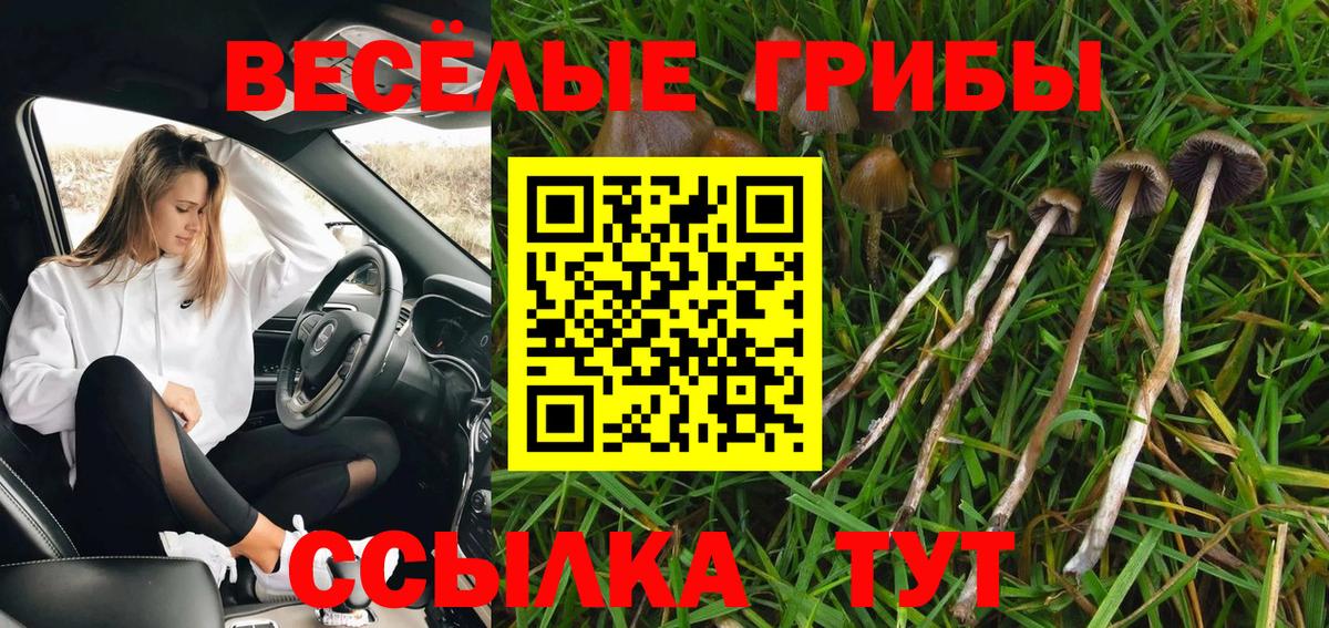 Новочебоксарск  Галлюциногенные грибы MAGIC MUSHROOMS  Вход с VPN  Галлюциногенные грибы GOLDEN TEACHER 