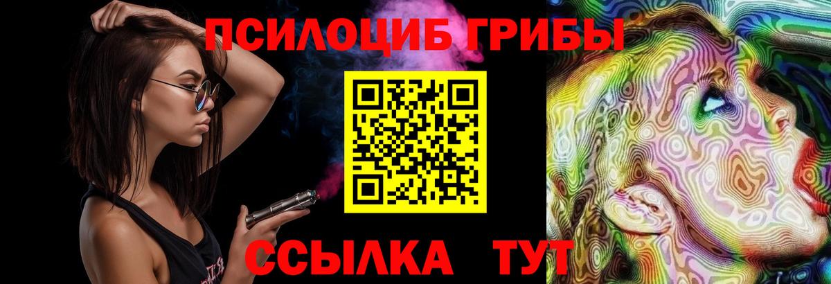 Галлюциногенные грибы мицелий Новочебоксарск